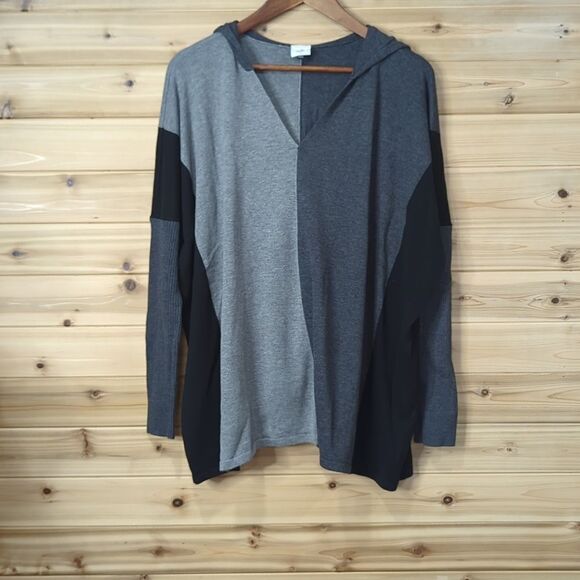 Cabi Sweater Womens Small Gray $4307 Dakota Oversized Color Block Hooded - Picture 1 of 9